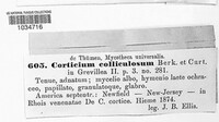 Image Associated With the Occurence